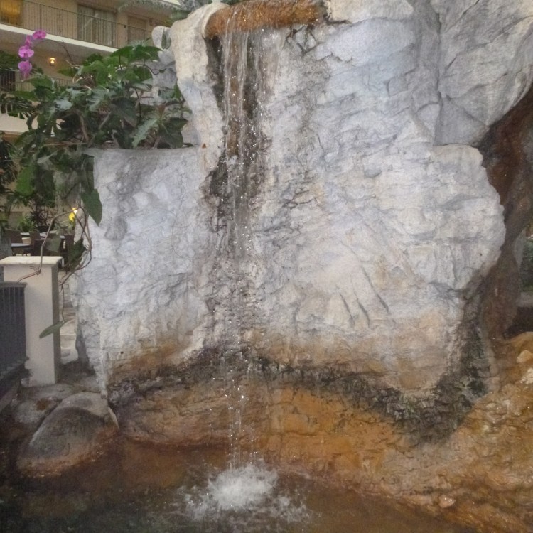 Embassy Suites -Waterfall - Ft Lauderdale